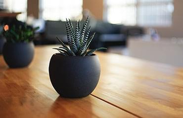 Colegio San Francisco